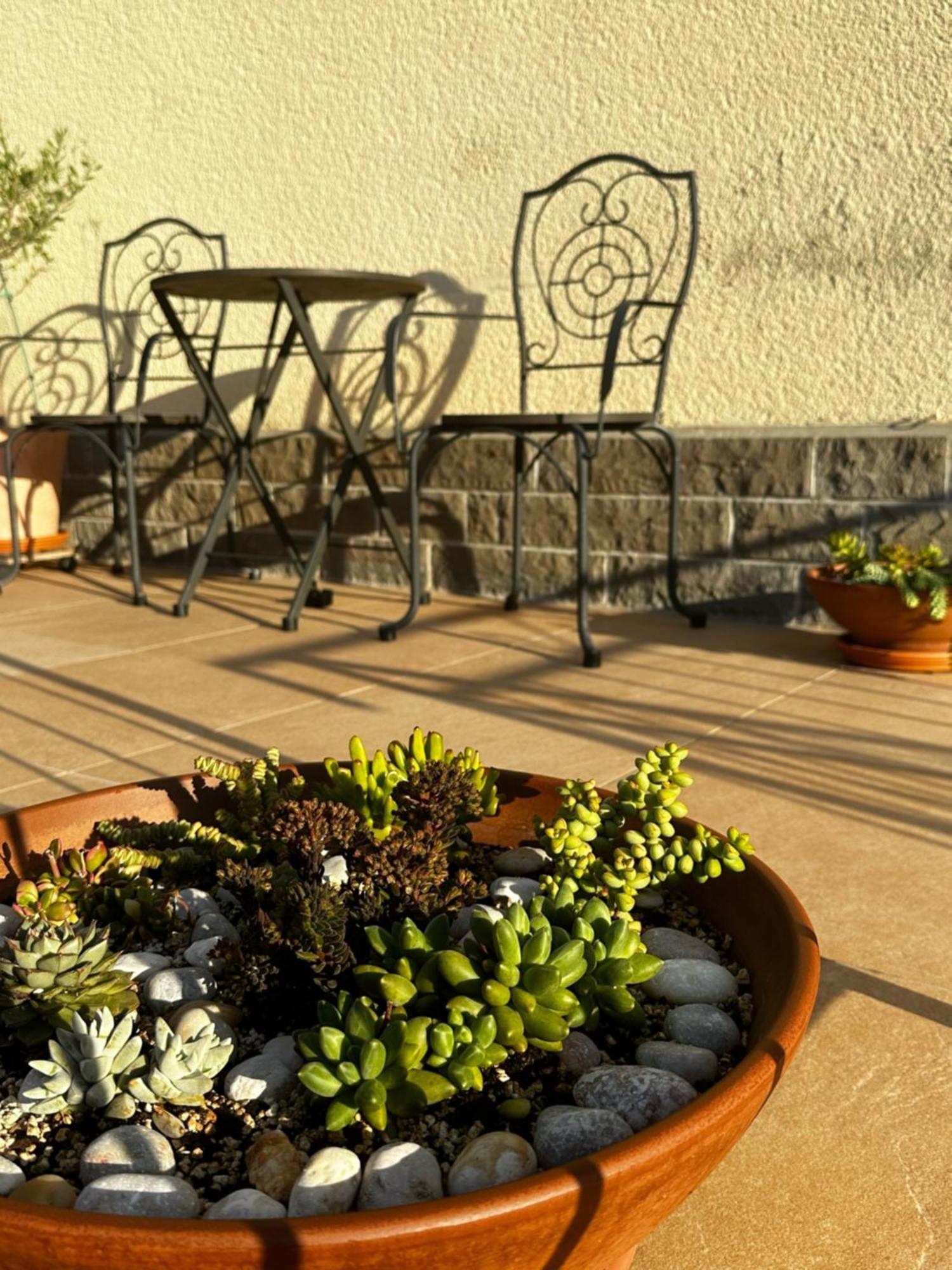 Apartment Cvetka Portorož Dış mekan fotoğraf